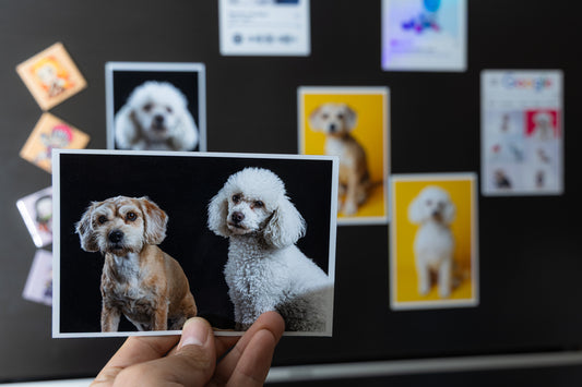 Fotos Imantadas 10x15cm